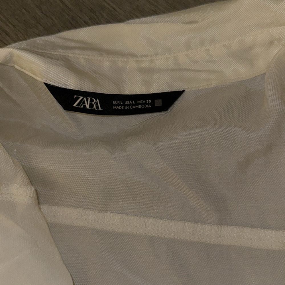 Zara sheer button down - Picture 5 of 6